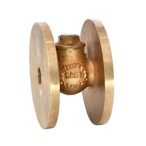 SBM-10 - Bronze Horizontal Lift Check Valve