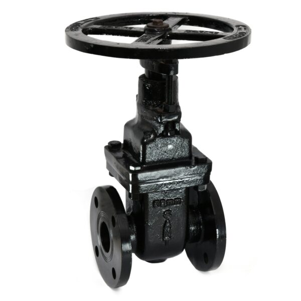 Cast Iron Wedge Sluice Valve