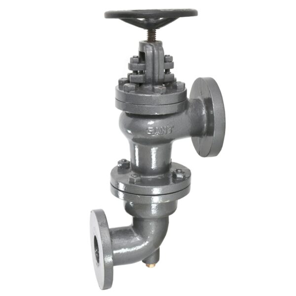 Cast Iron Accessible Feed Check Valve